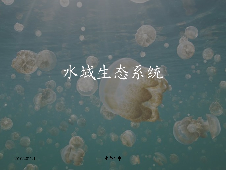 水域生态系统课件.ppt_第1页