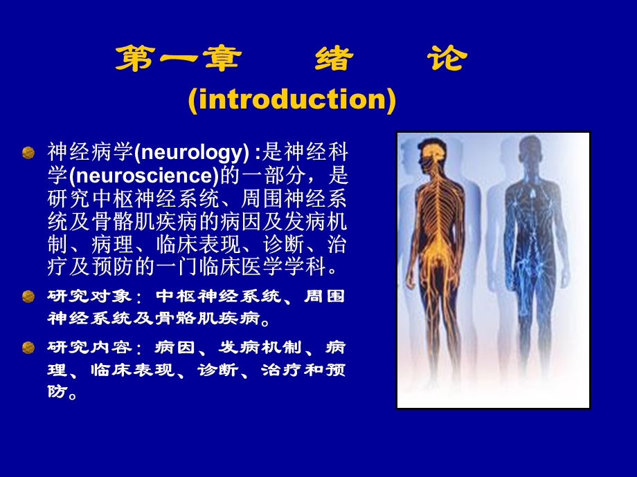 神经病学总论课件.ppt_第2页