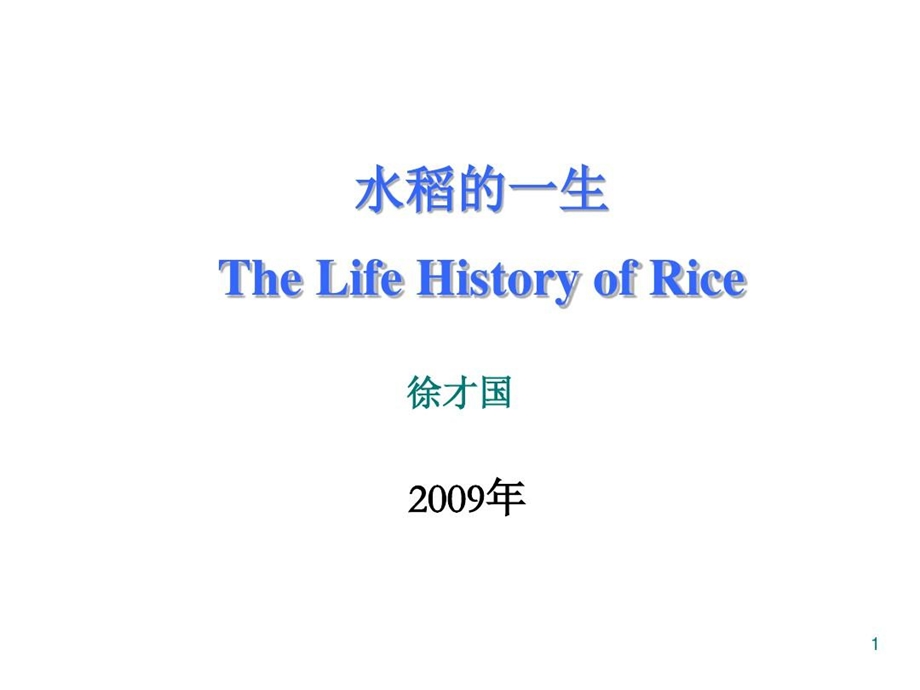 水稻的一生PPT精选文档课件.ppt_第1页