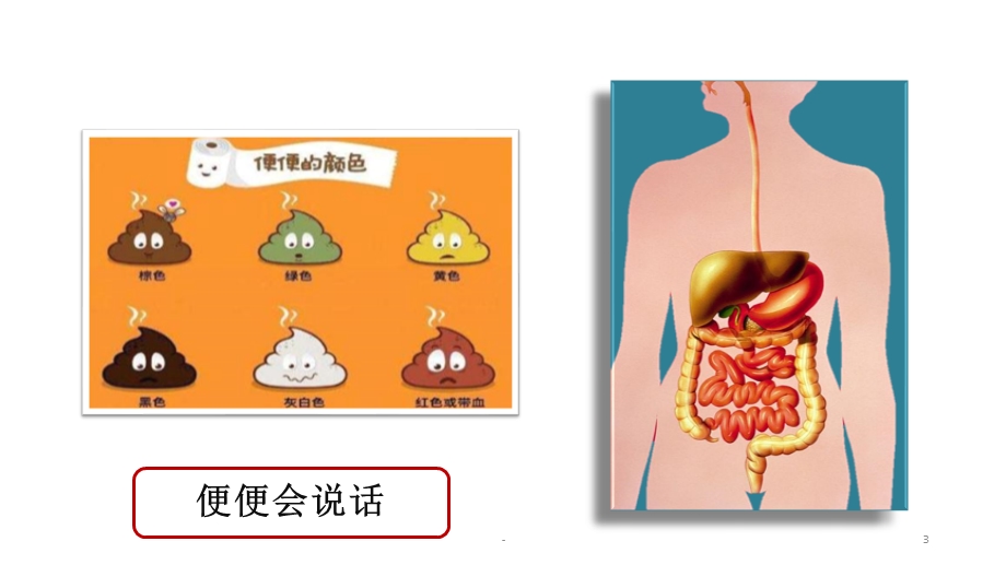 排便护理课件.pptx_第3页