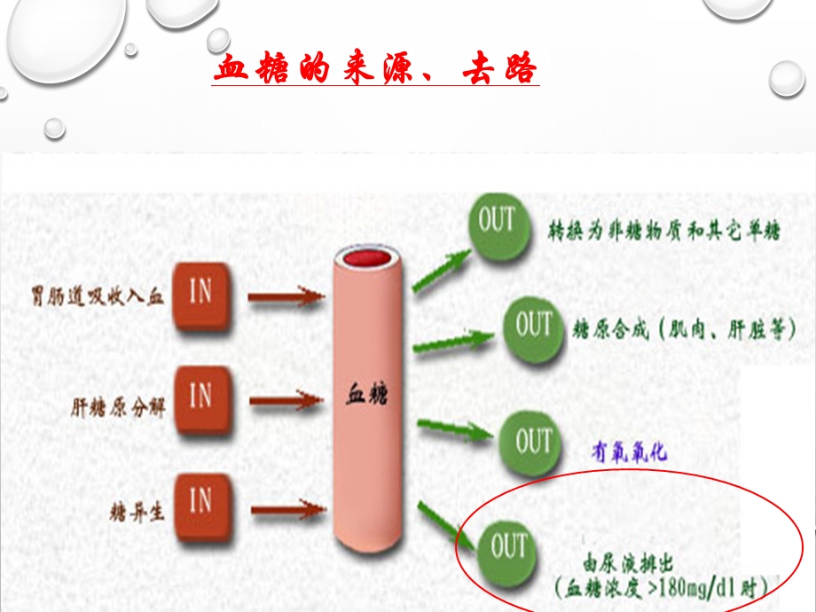 生化实验血糖的测定三组课件.pptx_第3页