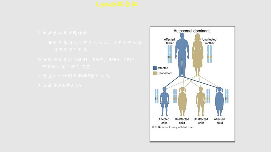 Lynch综合征的免疫组化筛查课件.pptx_第2页