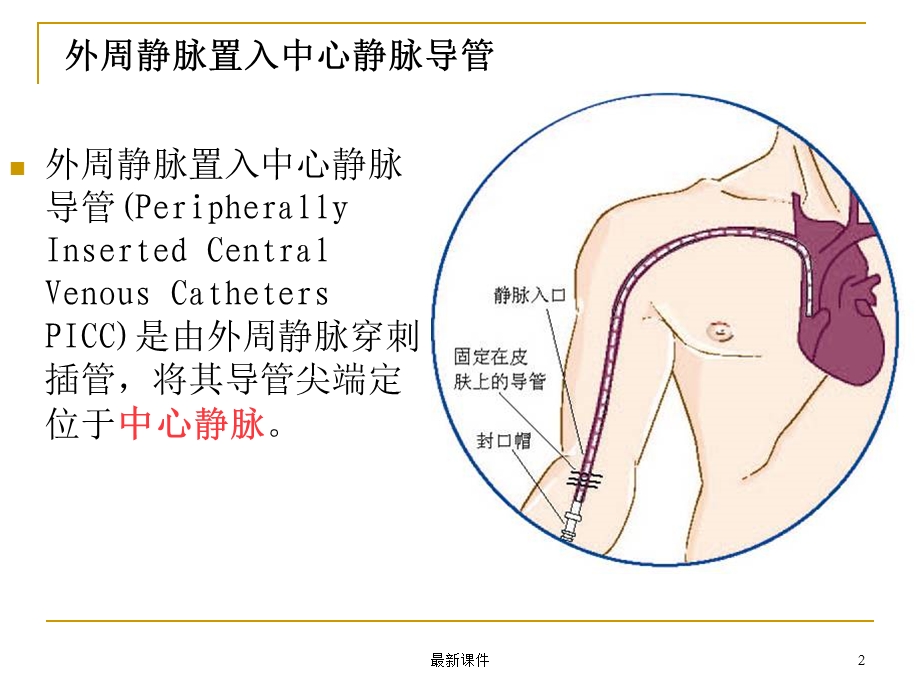 PICC相关静脉的解剖课件.ppt_第2页