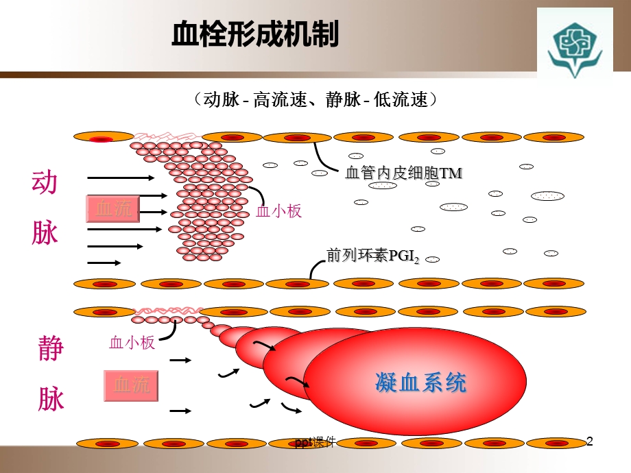 ICU抗凝药物合理应用--课件.ppt_第2页