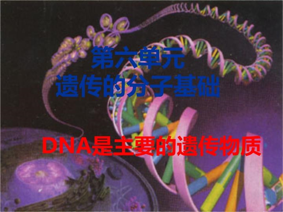 DNA是主要的遗传物质(2课时)课件.ppt_第1页