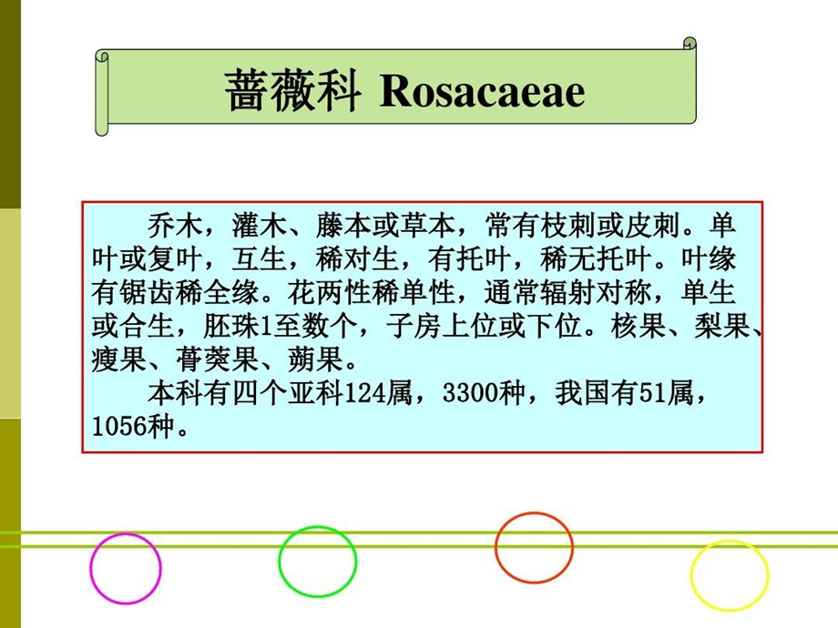 蔷薇科植物分类资料课件.ppt_第1页