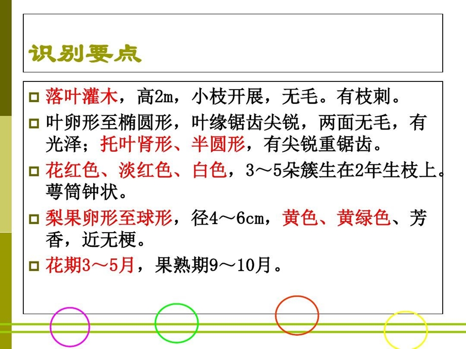 蔷薇科植物分类资料课件.ppt_第3页