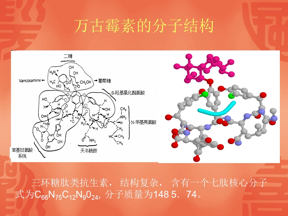 万古霉素的临床应用课件.ppt_第3页