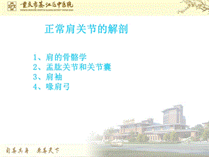 肩关节解剖课件.ppt