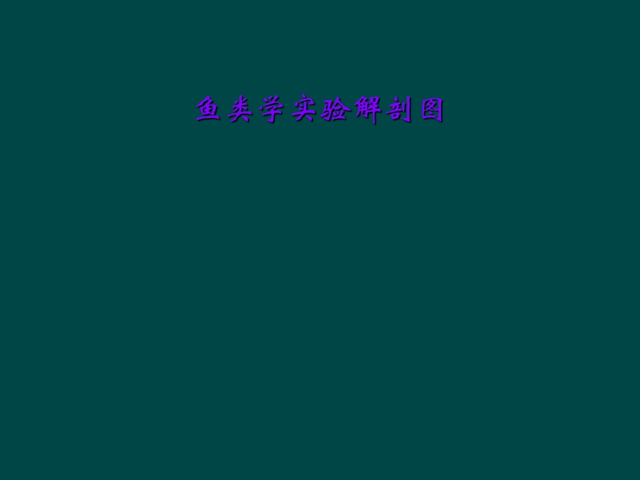 鱼类学实验解剖图课件.ppt_第1页