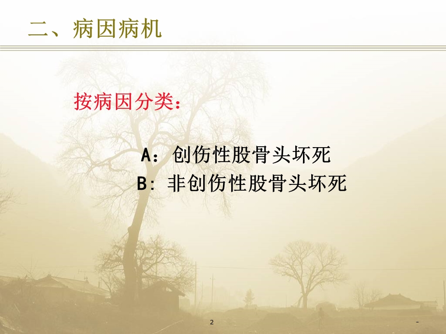 股骨头坏死(定义)课件.ppt_第2页