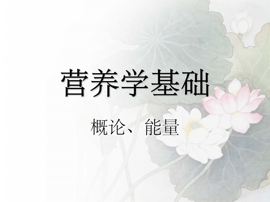 营养学基础能量概述课件.ppt_第1页