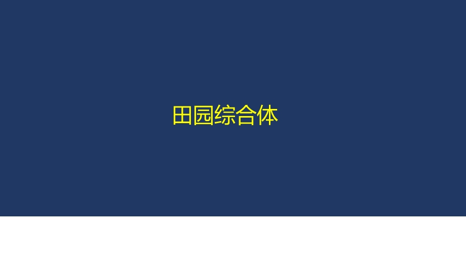 XX田园综合体方案策划课件.pptx_第2页