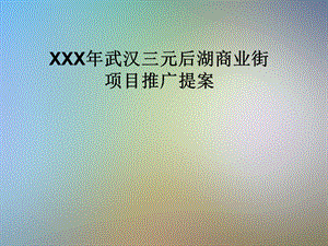 XXX年武汉三元后湖商业街项目推广提案课件.pptx