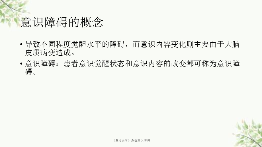 《急诊医学》急性意识障碍课件.ppt_第3页