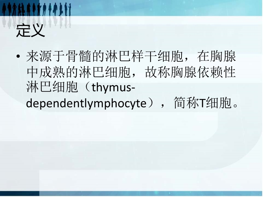 T淋巴细胞亚群及其临床意义课件.ppt_第2页