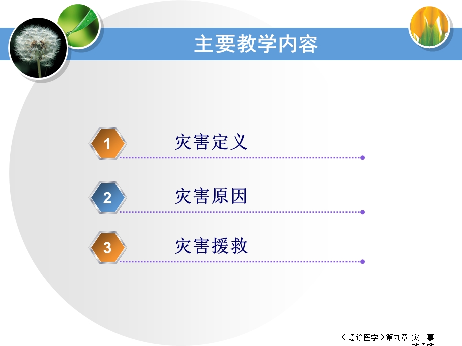 《急诊医学》第九章-灾害事故急救课件.ppt_第3页