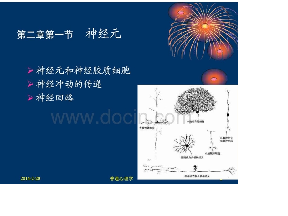 [医学]普通心理学心理的神经生理机制(0002)课件.pptx_第2页