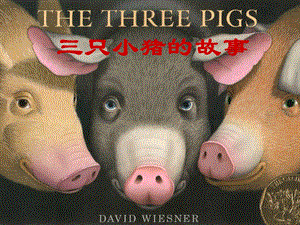 《三只小猪的真实故事》课件.ppt
