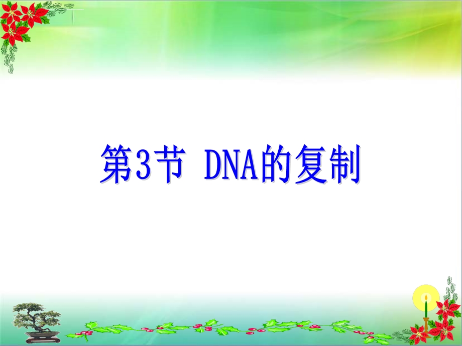 DNA的复制(动画)ppt课件.ppt_第1页