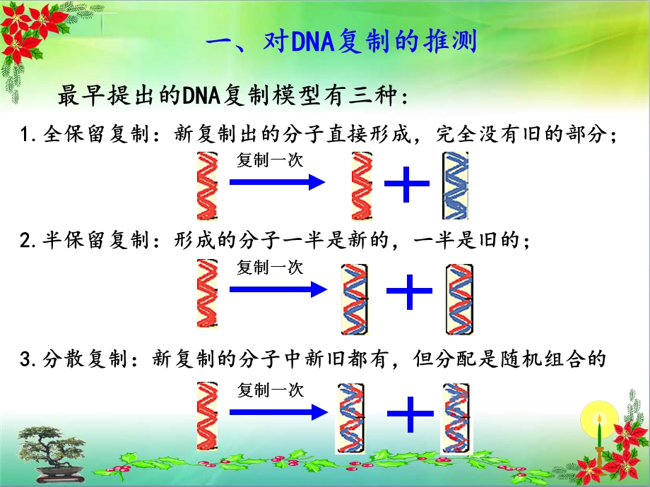DNA的复制(动画)ppt课件.ppt_第2页