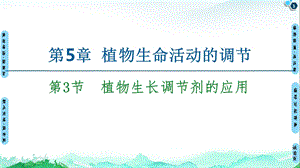 人教版生物《植物生长调节剂的应用》1课件.ppt