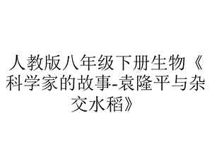 人教版八年级下册生物《科学家的故事袁隆平与杂交水稻》.pptx