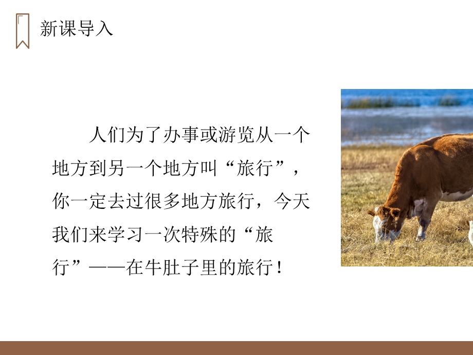 人教版三年级语文上册在牛肚子里旅行课件.pptx_第3页