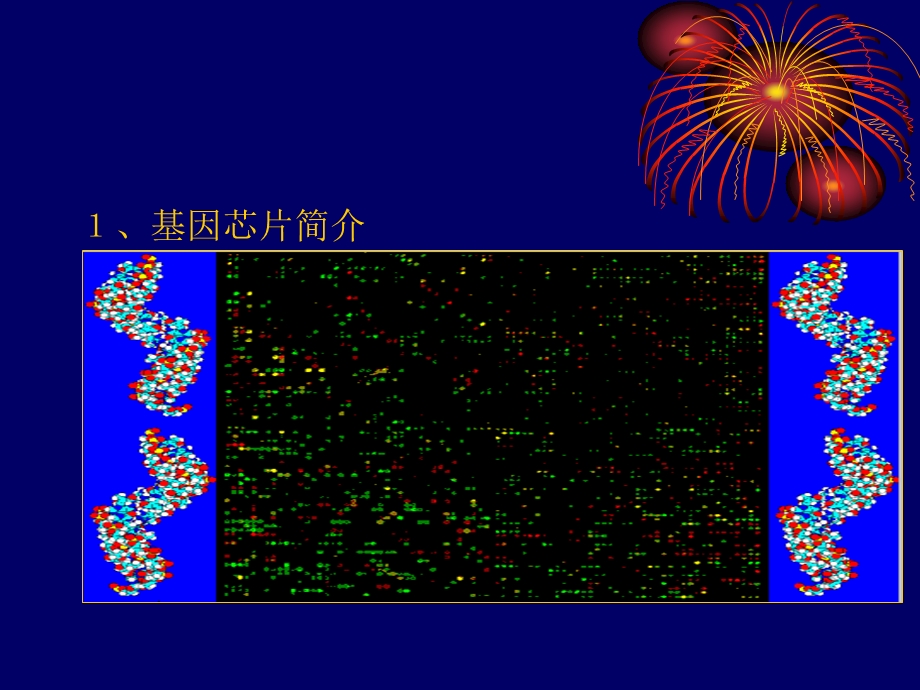 生物信息学在基因芯片中的应用ppt课件.ppt_第3页