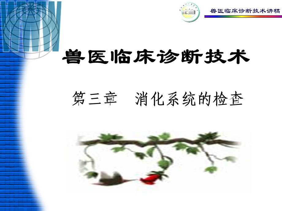 三章消化系统的检查课件.ppt_第1页