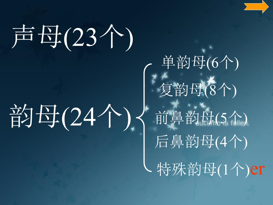 《一年级语文拼音总复习》PPT课件.ppt_第2页