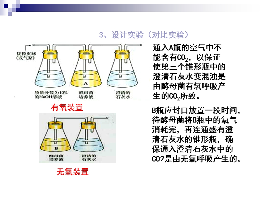 人教版必修1第5章第3节《ATP的主要来源——细胞呼吸》课件(20张).ppt_第3页