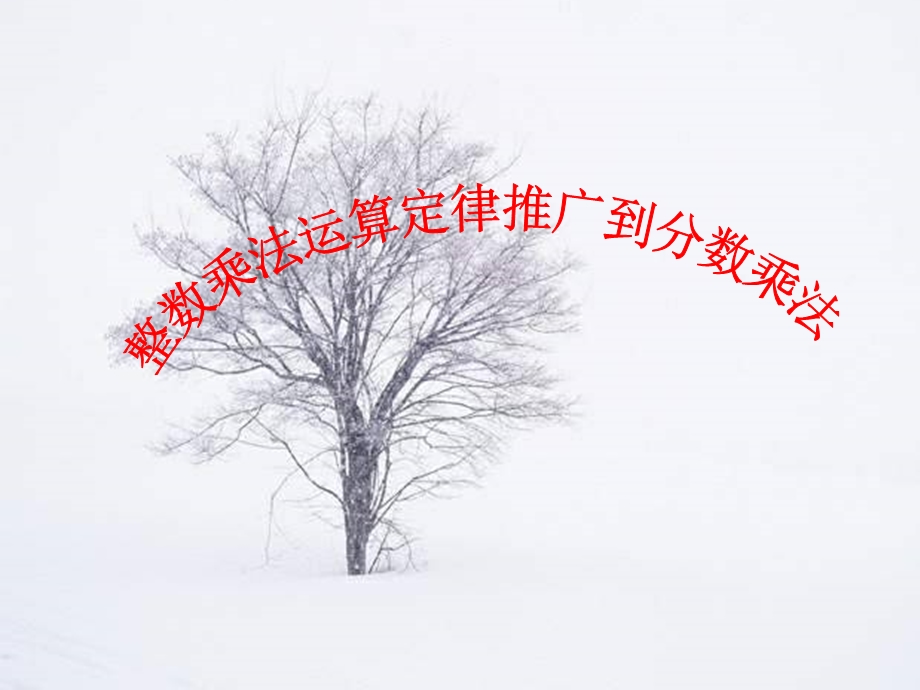 人教新课标六年级上册数学《整数乘法运算定律推广到分数》课件.ppt_第3页