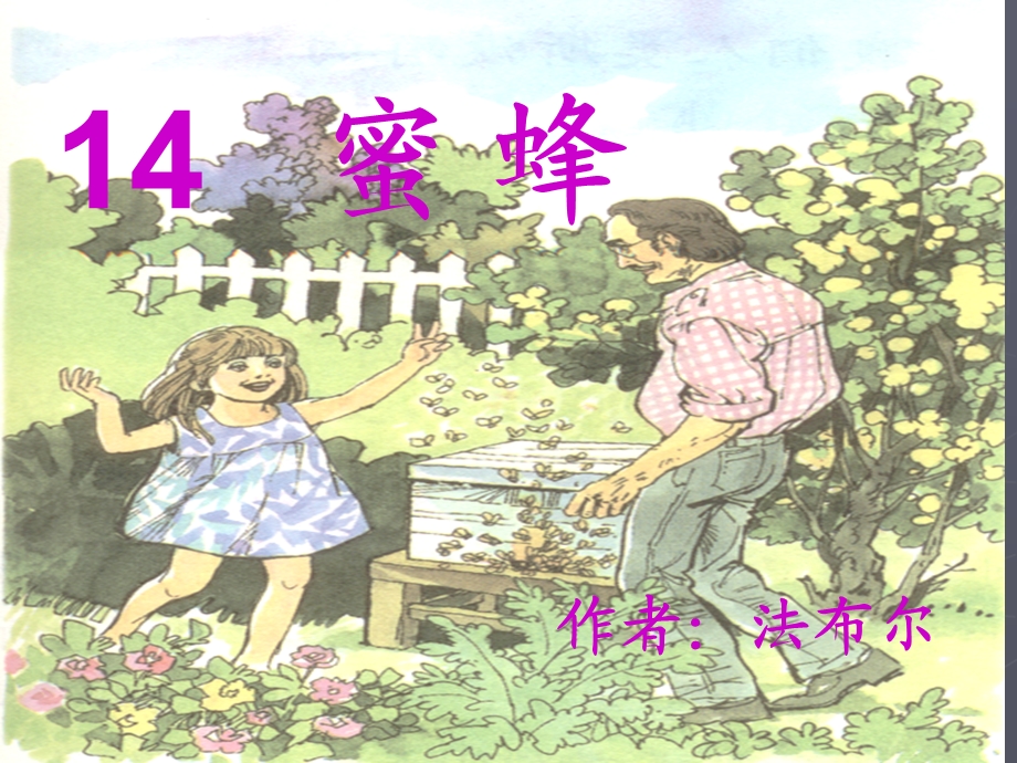 三年级上册14课《蜜蜂》课件.ppt_第3页