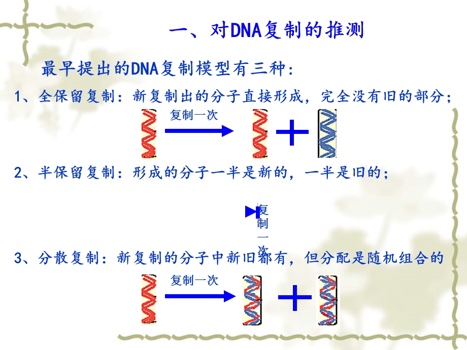 DNA分子的复制PPT课件.ppt_第3页