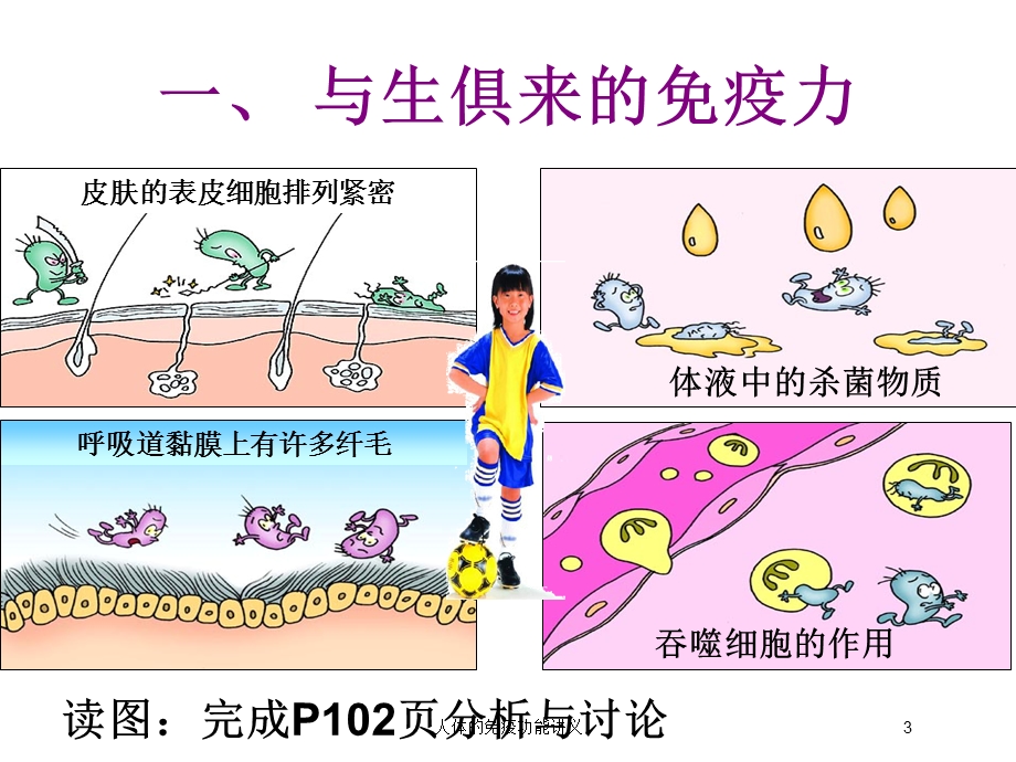 人体的免疫功能讲义培训课件.ppt_第3页