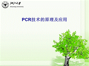 PCR技术的原理及应用ppt课件.ppt