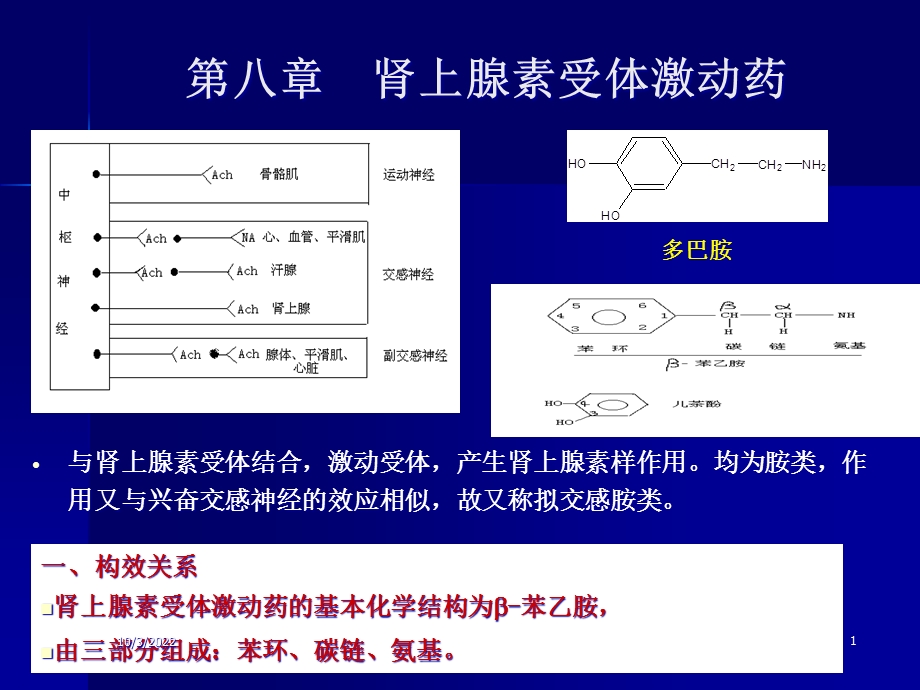 五讲肾上腺素受体药课件.ppt_第1页