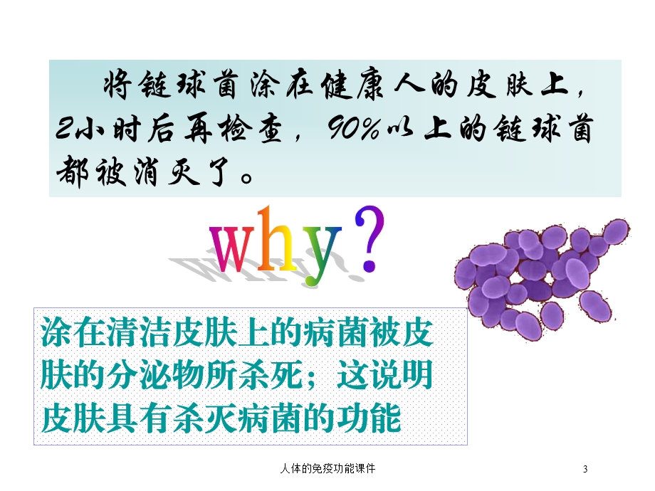 人体的免疫功能课件培训课件.ppt_第3页