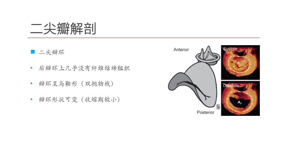 二尖瓣狭窄及关闭不全的超声诊断ppt课件.pptx_第3页