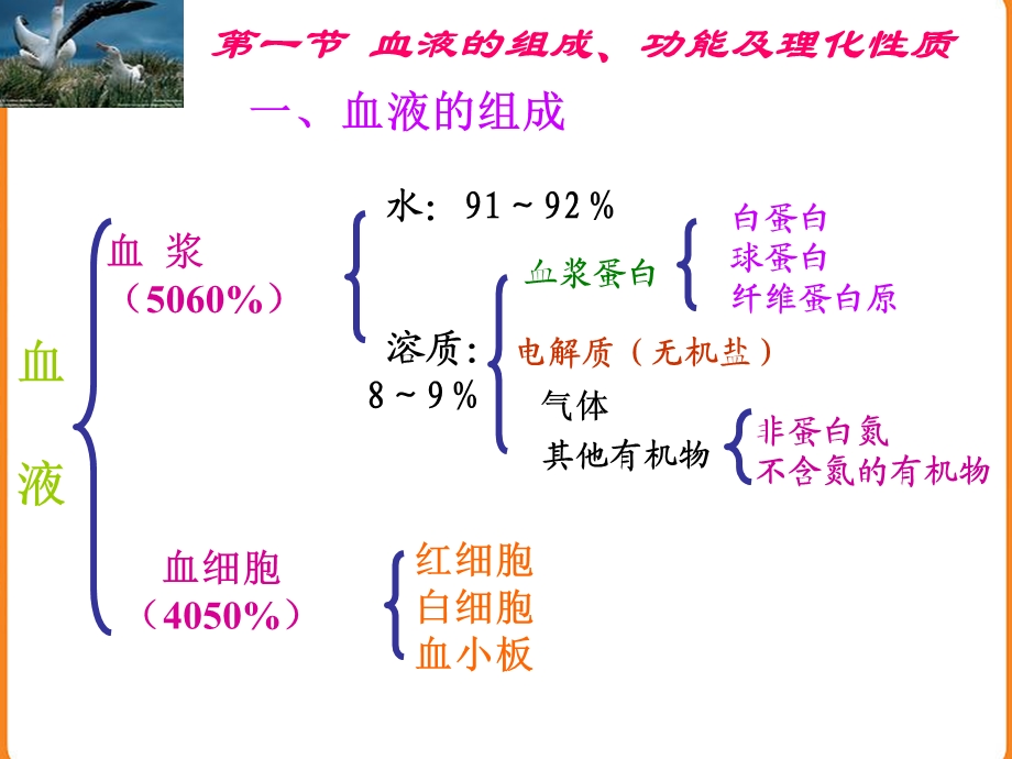 内有纤维蛋白原和凝血因子血清课件.ppt_第2页