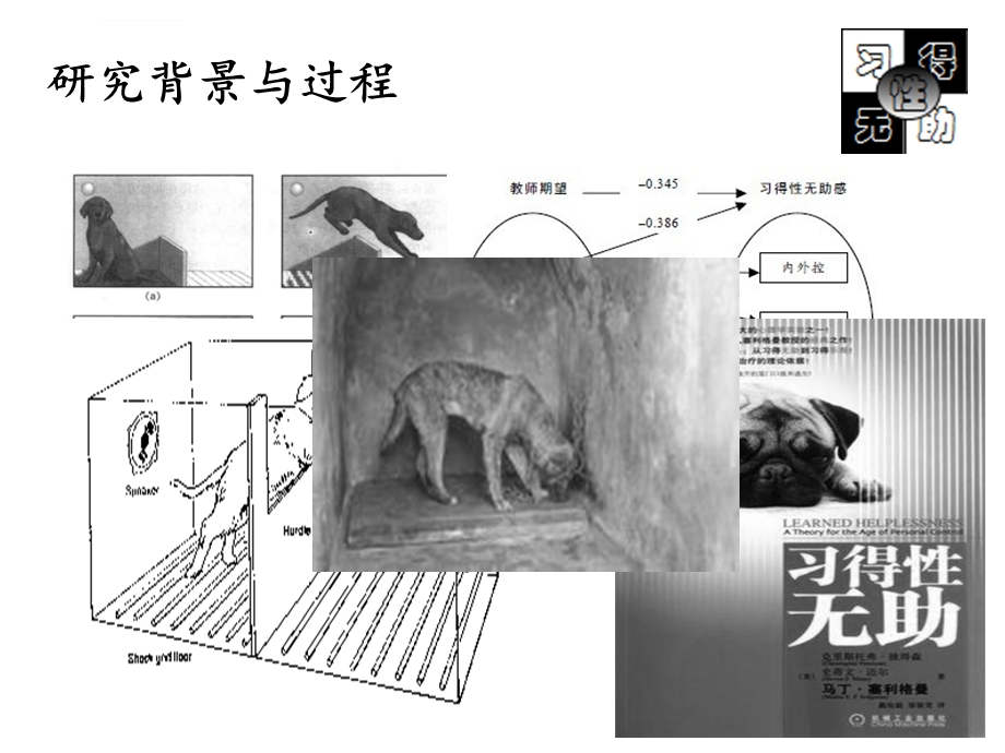 习得性无助电影中的心理学ppt课件.ppt_第3页