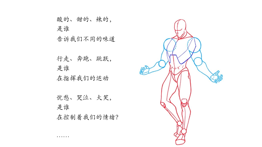 刺激与反应课件.ppt_第2页