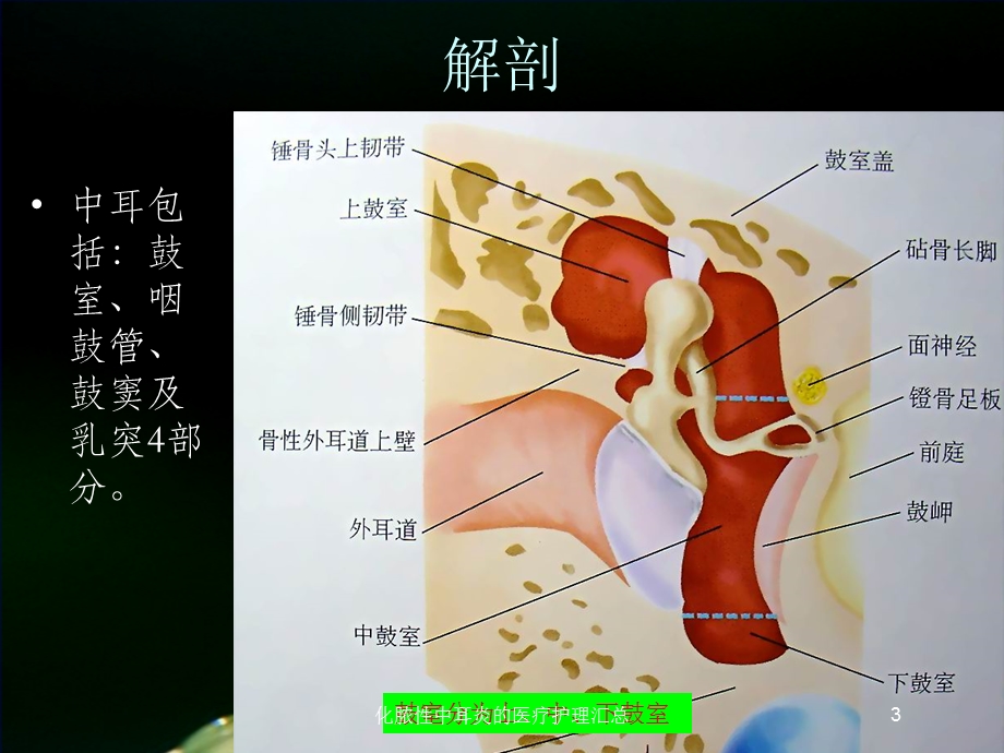 化脓性中耳炎的医疗护理汇总培训课件.ppt_第3页