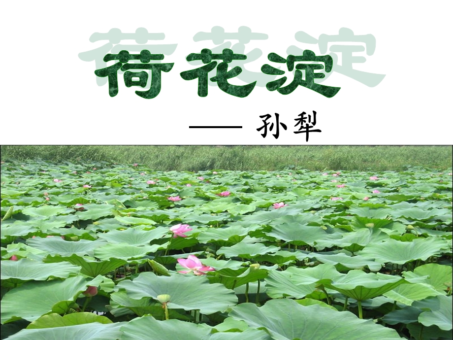 《荷花淀》分析ppt课件.ppt_第1页