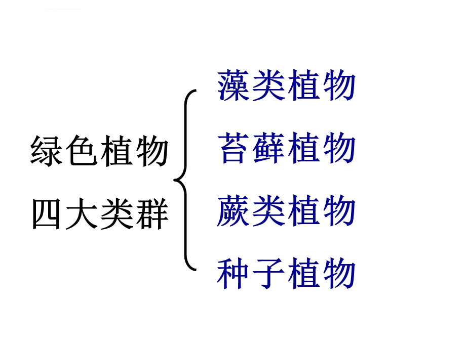 《藻类、苔藓和蕨类植物》PPT课件.ppt_第3页