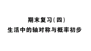 北师大版七年级数学下册期末复习生活中的轴对称与概率初步课件.pptx