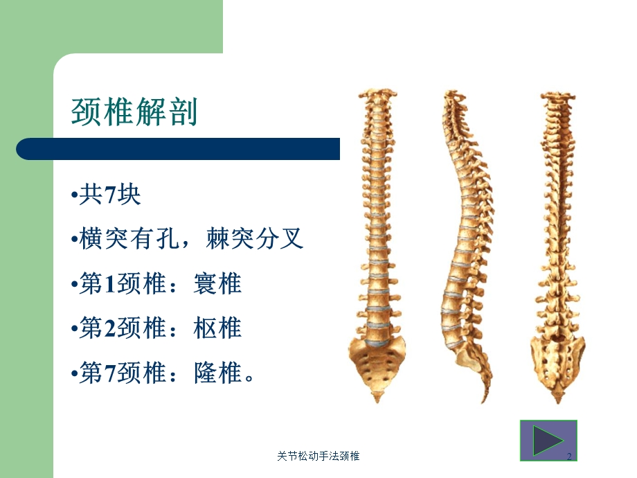 关节松动手法颈椎培训课件.ppt_第2页