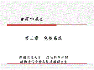 免疫器官课件.ppt