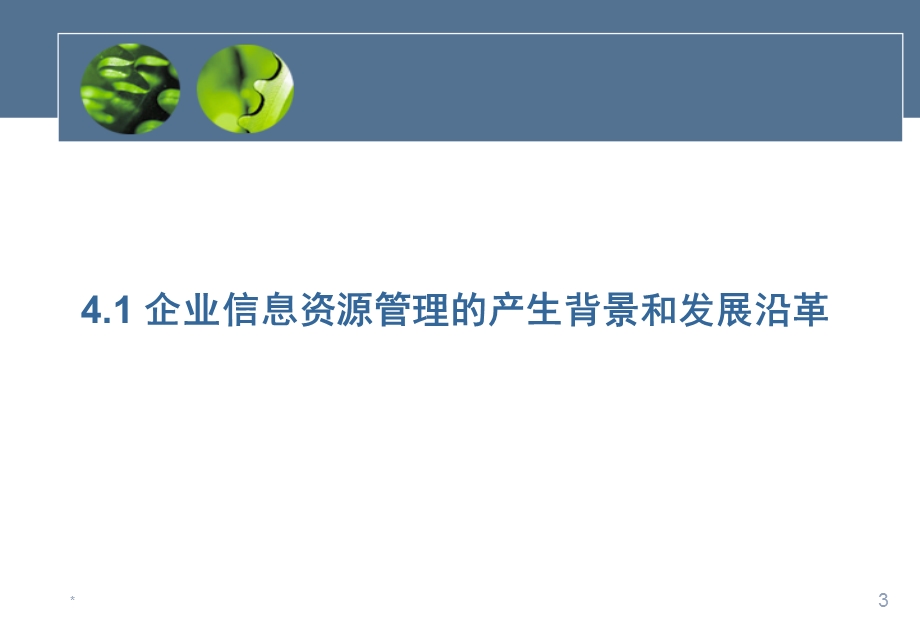 企业信息资源管理培训教材课件.pptx_第3页